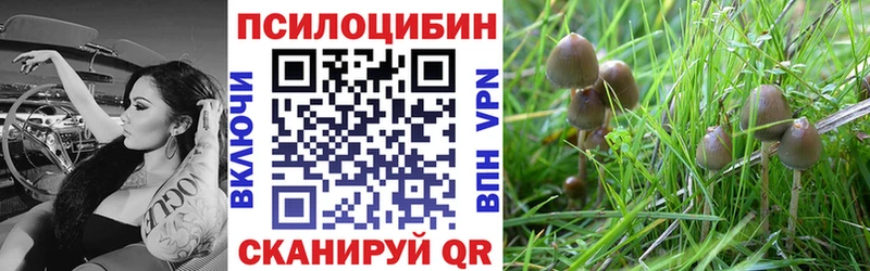 omg как войти  Шарья  Псилоцибиновые грибы мухоморы 